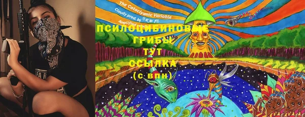 соль курить ск Щигры