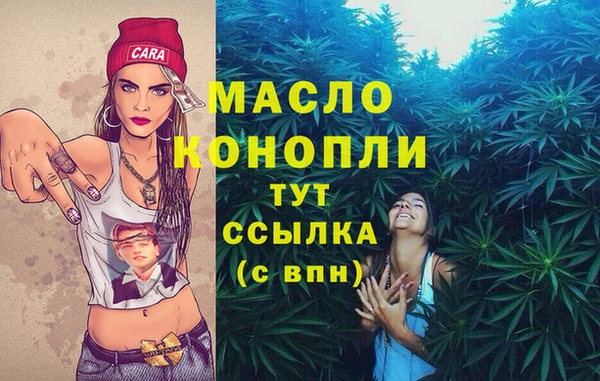 ешки Дмитриев