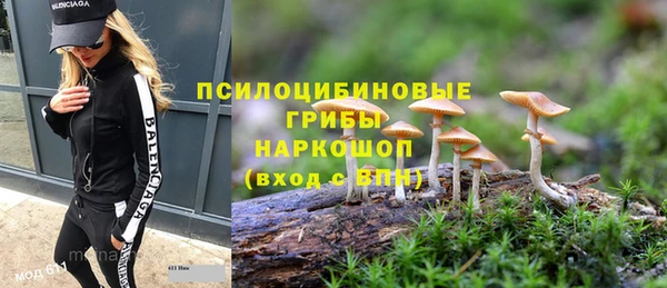 ALPHA PVP Дмитровск