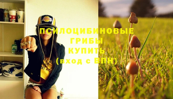 первитин Дмитров