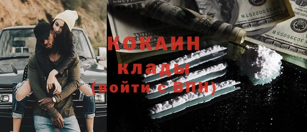 ешки Дмитриев