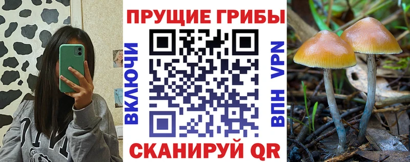маркетплейс Telegram  Старая Русса  Псилоцибиновые грибы мухоморы 